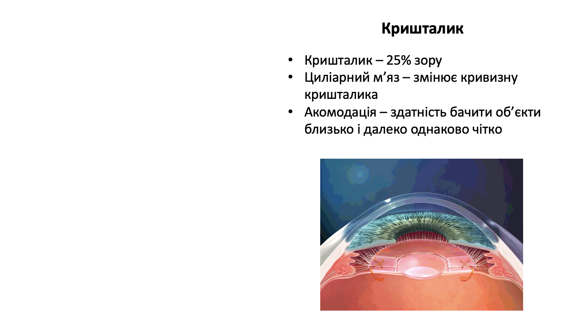 eye-4